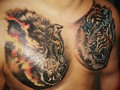 #wolf #wolftattoo #tiger #tigertattoo #tigertattoos #tigre #lobo #instagram #ink #inked #pic #picture #tattoostyle #tattooartist #instagood #color #colortattoo