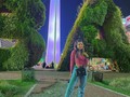 🇦🇷🌺
