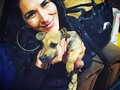 Otro amor más se sumó a nuestras vidas!! 🥰😍😍 Bailey  #mascotas #perros #pets #dog #gatos #dogs #perro #animales #pet #mascotasfelices #perrosdeinstagram #a #cats #dogsofinstagram #cat #mascota #gato #instadog #animals #love #doglover #amor #instagram #perrosfelices #amorperruno