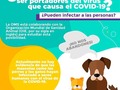 Actualmente no hay evidencia de que las mascotas representen un peligro para la propagación del #COVID19, sin embargo, es recomendable mantener su higiene constante. ⠀⠀⠀⠀⠀⠀⠀⠀⠀⠀⠀⠀⠀⠀⠀⠀⠀⠀ #ProtégetePanamá #unidoslohacemos