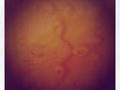 Old Marble. Architectural detail from an art deco mantle in a Parisian appartment. #paris