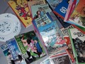 Ni brocante, ni vide grenier ni bourse aux jouets ce jour mais une foire où certaines assos vendaient des livres et quelques articles.  Gros lot de livres sympa ( BD, disney, vintage, comtesse de Segur, des mangas, des livres dont vous êtes le héros etc). Une sympa figurine Yoshi, des assiettes Arcopal, girafe Playmobil.  #playmobil #canada_chine_dispo #disney #retourdechine #livres #bd #arcopal #avendre #forsale #manga