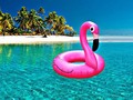 Flotador gigante Flamingo Rosa ⭐🏝🌊 Perfecto para estas vacaciones 👙Cantidades limitadas  Contacto (+57) 3016822560 Bquilla- Col📍