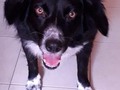 Buenos días, feliz inicio de semana de la reina de la casa! Duna  oscarabdiel08