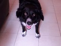 Hoy es el Día Mundial del Veterinario, felicidades a aquellos que tienen a mis bebes sanas, que haríamos sin ustedes
