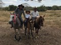 Santi aprendiendo a montar su caballo chaparro.