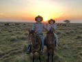Días de trabajo en la dormida con la mejor compañía ❤️🐄🐴 @chinchesrodilquintero