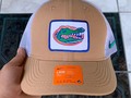 Florida Gators 🐊
