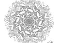 Quieres colorear este Mandala de Corazones de Fer?⁣ ⁣ Menciona a los que conozcas que les gustaría.⁣ ⁣ Puedes descargarlo completamente GRATIS entrando en y lo agregas al carrito de compras (es GRATIS) y despues te llega un link con el archivo en alta resolución para que lo puedas imprimir o pintar en digital!⁣ ⁣ PD: esta idea se la vi a dos artistas queridos como son @dmonacelli y @arlexcampos y me pareció una idea genial sobre todo para los más pequeños en estos momentos. ⁣ ⁣ #CorazonDeFer #Mandala ⁣