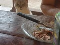 Esse tal de Marcos Antônio tá achando que o frango é só dele!