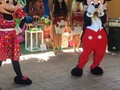 Quieres ver y compartir con ellos pues no te pierdas nuestro cierre de nuestra 1ra temporada de LIVE junto a Mickey y minnie y otras súper sorpresas como Spiderman