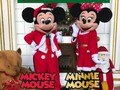 Ya la Navidad está muy cerca y que mejor manera que junto a ella la magia de nuestros hermosos personajes .  Santa y sus duendes también están listos para sorprenderlos a todos .
