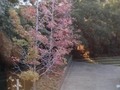#Otoño #2017 #work #santiagodechile