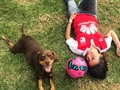 Hoy juega Santa Fe y Alan lo sabe!!! 😍🐶 @alanyfrida @umbrocolombia #Alan #futbol #dog #dogsofinstagram #dogs #adopt