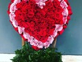 SÚPER PRECIOS EN ARREGLOS FLORALES DE 25 ROSAS MÁS GLOBO A TAN SOLO $60 DISPONIBLE HASTA EL 30 DE MARZO CONSULTAR MODELOS DE ARREGLOS DE ESTA PROMOCION  GRAN VARIEDAD EN ARREGLOS FLORALES consulta modelos y precios  🌹🌹🌹🎁🌻🎈🎈🎈🎁 !!! Llama y cotiza con nosotros ☎️ +507 60267170,Whatsaap +507-63171363 #ferreroroche #rychytv amo #amor #amopanama #aniversario #alegria #celebracion #nostalgia #felicidad #felizcumpleaños #happybirthday #novios #novia #regalos #gift #repost #repostpanama #flores #florespanama #floristeriaenpanamá #tbt #trendy # #pty #panama #panamacity #ciudaddepanama #venezolanospty ....