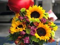 GRAN VARIEDAD EN ARREGLOS FLORALES consulta modelos y precios  🌹🌹🌹🎁🌻🎈🎈🎈🎁 !!! Llama y cotiza con nosotros ☎️ +507 60267170,Whatsaap +507-63171363 #ferreroroche #rychytv amo #amor #amopanama #aniversario #alegria #celebracion #nostalgia #felicidad #felizcumpleaños #happybirthday #novios #novia #regalos #gift #repost #repostpanama #flores #florespanama #floristeriaenpanamá #tbt #trendy # #pty #panama #panamacity #ciudaddepanama #venezolanospty ....