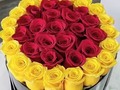 GRAN VARIEDAD EN ARREGLOS FLORALES consulta modelos y precios  🌹🌹🌹🎁🌻🎈🎈🎈🎁 !!! Llama y cotiza con nosotros ☎️ +507 60267170,Whatsaap +507-63171363 #ferreroroche #rychytv amo #amor #amopanama #aniversario #alegria #celebracion #nostalgia #felicidad #felizcumpleaños #happybirthday #novios #novia #regalos #gift #repost #repostpanama #flores #florespanama #floristeriaenpanamá #tbt #trendy # #pty #panama #panamacity #ciudaddepanama #venezolanospty ....