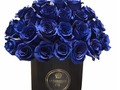 Diseños exclusivos y personalizados,que marcan la diferencia 🤩🤩🤩. . . . Escríbenos al Dm y cotiza tú arreglo.  GRAN VARIEDAD EN ARREGLOS FLORALES consulta modelos y precios  🌹🌹🌹🎁 !!! Llama y cotiza con nosotros ☎️ +507 60267170,Whatsaap +507-63171363 #ferreroroche #amor #fblafloristeria#collection #alegria#deluxe #giftboxes #celebracion#felicidad #felizcumpleaños #regalos #gift #repost#miami #repostpanama #flores #flore#floristeriaenpanamá #tbt #trendy ##panamacity #panamá #love #colombia #miami #stayathome #costarica