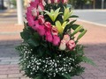 nacional traemos para ti excelente opciones en arreglos florales para mamá . 💎Diseños exclusivos y personalizados,que marcan la diferencia 🤩. . . . ⚠️Escríbenos al Dm y cotiza tú arreglo.  🔸GRAN VARIEDAD EN ARREGLOS FLORALES consulta modelos y precios ↗️  !!! Llama y cotiza con nosotros . (WhatsApp) +507 60267170,+507-63171363 .  #amor #fblafloristeria#alegria#deluxe #giftboxes #celebracion#felicidad #felizcumpleaños #regalos #gift #repost#miami #repostpanama #flores #floristeriaenpanamá #trendy #panamacity #panamá #love #colombia #stayathome #costarica
