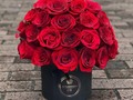 Diseños exclusivos y personalizados,que marcan la diferencia 🤩🤩🤩. . . . Escríbenos al Dm y cotiza tú arreglo.  GRAN VARIEDAD EN ARREGLOS FLORALES consulta modelos y precios  🌹🌹🌹🎁 !!! Llama y cotiza con nosotros ☎️ +507 60267170,Whatsaap +507-63171363 #ferreroroche #amor #fblafloristeria#collection #alegria#deluxe #giftboxes #celebracion#felicidad #felizcumpleaños #regalos #gift #repost#miami #repostpanama #flores #flore#floristeriaenpanamá #tbt #trendy ##panamacity #panamá #love #colombia #miami #stayathome #costarica
