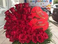 ✨DISEÑOS EXCLUSIVOS LISTO PARA ENTREGAR. . .HAS TU SOLICITUD AL DM. . .  GRAN VARIEDAD EN ARREGLOS FLORALES consulta modelos y precios  🌹🌹🌹🎁 !!! Llama y cotiza con nosotros ☎️ +507 60267170,Whatsaap +507-63171363 #ferreroroche #amor #fblafloristeria#collection #alegria#deluxe #giftboxes #celebracion#felicidad #felizcumpleaños #regalos #gift #repost#miami #repostpanama #flores #flore#floristeriaenpanamá #tbt #trendy ##panamacity #panamá #love #colombia #miami #stayathome #costarica