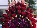 DISEÑOS EXCLUSIVOS LISTO PARA ENTREGAR. . .HAS TU SOLICITUD AL DM. . .  GRAN VARIEDAD EN ARREGLOS FLORALES consulta modelos y precios  🌹🌹🌹🎁 !!! Llama y cotiza con nosotros ☎️ +507 60267170,Whatsaap +507-63171363 #happybirthday #amor #fblafloristeria#collection #alegria#deluxe #giftboxes #celebracion#felicidad #felizcumpleaños #regalos #gift #repost#miami #repostpanama #flores #flore#floristeriaenpanamá #tbt #trendy ##panamacity #panamá #love #colombia #costarica #venezuela .