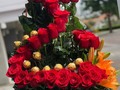 DISEÑOS EXCLUSIVOS LISTO PARA ENTREGAR. . .HAS TU SOLICITUD AL DM. . .  GRAN VARIEDAD EN ARREGLOS FLORALES consulta modelos y precios  🌹🌹🌹🎁 !!! Llama y cotiza con nosotros ☎️ +507 60267170,Whatsaap +507-63171363 #happybirthday #amor #fblafloristeria#collection #alegria#deluxe #giftboxes #celebracion#felicidad #felizcumpleaños #regalos #gift #repost#miami #repostpanama #flores #flore#floristeriaenpanamá #tbt #trendy ##panamacity #panamá #love #colombia #costarica #venezuela .