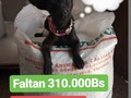 Tu puedes ayudar!! Solo debes desear Hacerlo ♥️ . Pon tu granito de perrarina y ayúdanos a llenar el saco #6 . 2000 Bs, $1, 1000cop etc solo debes desear ayudar!! . Tenemos pagó móvil 04244237433/Bco exterior/13.195.235 . 🇵🇪 Para 🇵🇦 Ayudar 🇪🇸 Solo 🇨🇴 Debes 🇺🇲 Desear 🇨🇱 Hacerlo