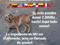 @fpatitasfelices 2.000Bs, $1, €1, 1000pesos ! . TODO SUMA!!!!! . Lo único que no suma es la indiferencia!, No se vale ser indiferentes, ellos cuentan contigo!! . Puedes ayudar vía: 🇻🇪 Pago móvil 13.195.235/Bco exterior/04244237433 🇺🇲 Bank of America Zelle Paypal🇨🇱 Banco Estado 🇪🇸 Bankia 🇵🇦 Banesco 🇨🇴 Bancolombia 🇵🇪 BCP . Solo contamos contigo!! Ayúdanos a cumplir, ayúdanos a llenar pancitas!! 🙏 - #regrann