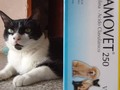 No dejen de ver el tras cámara! 😜 . 🐾Desparasitantes 🐾Carprovet = Rimadyl 🐾Clamovet (Amoxicilina con clavulánico) 🐾Vetamoxyl (antibiótico de amplio espectro y larga acción) 🐾Guardian 🐾Ceprevenca 🐾Knina 🐾Dogchow 🐾Dog pro 🐾Protican 🐾Perrarina 🐾Gatsy 🐾Kit kaboodle . Y más......,.pregunta por lo que necesitas!. . ¿¿¿Sabías que con tu compra, nos ayudas a alimentar nuestras manadas 🐶 😺?? Y no solo eso, sino que además, beneficias a manadas de otras Fundaciones o Proteccionistas independientes!. . Si eso no te parece una buena razón, para comprar lo que tú hijo de 4 patas, necesite, entonces, no sé qué podría serlo 🤔😜🐾🐾🐈🐕 vamos anímate a ayudar!!!!