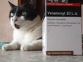 No dejen de ver el tras cámara! 😜 . 🐾Desparasitantes 🐾Carprovet = Rimadyl 🐾Clamovet (Amoxicilina con clavulánico) 🐾Vetamoxyl (antibiótico de amplio espectro y larga acción) 🐾Guardian 🐾Ceprevenca 🐾Knina 🐾Dogchow 🐾Dog pro 🐾Protican 🐾Perrarina 🐾Gatsy 🐾Kit kaboodle . Y más......,.pregunta por lo que necesitas!. . ¿¿¿Sabías que con tu compra, nos ayudas a alimentar nuestras manadas 🐶 😺?? Y no solo eso, sino que además, beneficias a manadas de otras Fundaciones o Proteccionistas independientes!. . Si eso no te parece una buena razón, para comprar lo que tú hijo de 4 patas, necesite, entonces, no sé qué podría serlo 🤔😜🐾🐾🐈🐕 vamos anímate a ayudar!!!!