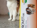 No dejen de ver el tras cámara! 😜 . 🐾Desparasitantes 🐾Carprovet = Rimadyl 🐾Clamovet (Amoxicilina con clavulánico) 🐾Vetamoxyl (antibiótico de amplio espectro y larga acción) 🐾Guardian 🐾Ceprevenca 🐾Knina 🐾Dogchow 🐾Dog pro 🐾Protican 🐾Perrarina 🐾Gatsy 🐾Kit kaboodle . Y más......,.pregunta por lo que necesitas!. . ¿¿¿Sabías que con tu compra, nos ayudas a alimentar nuestras manadas 🐶 😺?? Y no solo eso, sino que además, beneficias a manadas de otras Fundaciones o Proteccionistas independientes!. . Si eso no te parece una buena razón, para comprar lo que tú hijo de 4 patas, necesite, entonces, no sé qué podría serlo 🤔😜🐾🐾🐈🐕 vamos anímate a ayudar!!!!