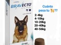 Creando nuevas alianzas!! . Siguiendo el camino a la autosustentabilidad!..... . Ahora podemos ofrecerte en venta, Bravecto! Lo más eficaz contra pulgas y garrapatas! . Y sabes que es lo mejor??? Que protegiendo a tus nenes 🐕, estás ayudando a Alimentar a los nuestros 🐾🐾. . Quieres ayudarnos a vender? . Solo con mencionar amigos que tengan mascotas aquí e invitarlos a comprar, para que sumemos granitos de perrarina y gatarina, ya nos estarías ayudando!!