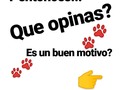 Que dices?? Es un buen motivo o no?? . La meta es vender tantos sacos sean necesarios, para cubrir el gasto de Alimento de nuestras manadas!, Y así dejar de molestarlos, pidiéndoles ayuda para Alimento! . Ayúdenme a hacerlo posible! . ¿Cómo?  Comprando alimento a través de nosotros.. . O . La forma fácil, es mencionando en nuestros post de ventas a amigos que tengan mascotas, e invitarlos a comprar el Alimento con nosotros. . Y la forma difícil, es publicando en tus redes, Instagram, facebook, estados de WhatsApp etc, nuestros post de ventas. . Te animas a ayudarnos??