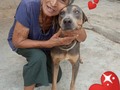 Hoy todos colgaron sus fotos, del día del amor y la amistad! . Yo no tuve tiempo de hacer algo para publicar, pero Eloisa hoy que fui a llevar Alimento a mi gigante gris y a sus 9 enanos, me dijo, tomanos una fotico así... Y taraaaaan, obtuve la mejor foto que pude publicar para celebrar el día de hoy. . El amor más puro e incondicional, en una foto! . . Cuántos corazones para ellos ?? ♥️♥️♥️♥️♥️♥️♥️♥️♥️