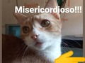 Está semana gracias a muchas personas que compraron Alimento para sus hijos de 4 🐾🐾 logramos ganar 4 sacos de Alimento para nuestras manadas!!! .🐕 Estos es maravilloso, no solo porque obtuve Alimento para mis nenes, sino porque ayude a otros a comprar para los suyos, de una forma fácil y cómoda.. . ♥️ Tu me ayudas, yo te ayudo, y así los tuyos 🐾🐾 y los míos 🐾🐾 tienen su alimento. .🤗 Me sobra el Alimento??? NO, al igual que todos particulares, fundaciónes, protecciónistas etc, estoy haciendo marabares para conseguir el Alimento a mis nenes 🐾🐾, pero se que hay quienes la.estan pasando peor que yo!, Y si puedo ayudar, ¿Por qué no hacerlo? Mis nenes tienen Alimento seguro hasta el 15 de abril. Gracias a mi Dios!! A un ser que en su momento me ayudó muchísimo, a @huellasdelnorte, a quienes compraron Alimento a través de mi, y a trabajo duro. Quienes menos tienen Alimento y mas que preocuparme me estoy ocupando, es la #manadafelinafpf2020 . Pero se que con tu apoyo vamos a lograr asegurar Alimento para todos.🙏. . ¿Si puedo ayudar debo hacerlo? Espero que estén de acuerdo conmigo: claaaaro que SI DEBO hacerlo.. ♥️ Hoy quiero ayudar a alguien a quien admiro mucho, y se que la está pasando nada bien, que necesita mucho apoyo, que ya no tiene Alimento para su manada, y son más de 60🐈🐕, la.admiro porque es muy muy poca la ayuda que recibe, y SOLA, a diario lucha para darles de comer. .♥️ Se que no te esperabas esto @juliemendoza1602 pero sabes que lo hago de corazón! Uno de los 4 sacos que hoy gane, es.para tu manada! 🐕🐈🐾🐾🐾🐾🐾🐕🐈