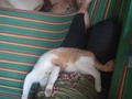 Día 10... Así me lo tomo... Atte Pintas