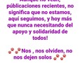 Aqui estamos los 62 caninos, los 27 míninos, y yo, contando con ustedes, por favor no nos dejen solos. Estamos atravesando momento un poco fuertes, pero con toda la fe puesta en Dios, que todo pasara pronto 🙏 Mientras tanto, mis nenes, necesitan seguir comiendo, algunos necesitando tratamiento que no he podido cubrir. Así que desde lo más humilde de mi ser, les digo, aquí estamos y contamos con cada uno de ustedes 🙏 . Si pueden apoyar vía pago móvil: . 🙏Banesco RIF J-40238966-3 Fundacion Patitas Felices 04265400225 . 🙏 Paypal: fpatitasfelices@gmail.com . También puedes ayudar vía:  Zelle 🇨🇱 Banco Estado 🇨🇴 Bancolombia 🇵🇪 BCP 🇵🇦 Banesco Panamá 🇪🇸 Bankia ♥️♥️♥️♥️♥️♥️♥️♥️ Recuerda nada es poco, todo SUMA, y para ayudar solo hace falta desear hacerlo 💕