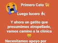 No me dejen sola 🙏🙏🙏🙏  Pago móvil: Banesco RIF J-40238966-3 04265400225 Fundacion Patitas Felices. .🐾🐾 . . Si estás fuera del país y deseas ayudar.. . .  🙏 Paypal: fpatitasfelices@gmail.com . También puedes ayudar vía:  Zelle 🇨🇱 Banco Estado 🇨🇴 Bancolombia 🇵🇪 BCP 🇵🇦 Banesco Panamá 🇪🇸 Bankia ♥️♥️♥️♥️♥️♥️♥️♥️ Recuerda nada es poco, todo SUMA, y para ayudar solo hace falta desear hacerlo ♥️ . .