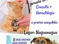 Al menos una vez al año, deberíamos llevar a nuestras mascotas a chequeo de rutina y exámenes de sangre, está es la mejor forma de aseguramos que todo marcha bien, y no sorprendernos con alguna enfermedad que se manifieste solo cuando ya está avanzada, cómo por ejemplo la ehrlichosis. En caso de Nuestras mascotas de avanzada edad, el chequeo y examen es casi de imperiosa necesidad.  Su salud es nuestra tranquilidad.  Para reservar cita contactanos al 0426-5407404 / 0424-4237433 Estamos en Av. Bolivar vieja de Naguanagua . Ya mi manada debe hacerse chequeo anual, nos ayudas ?