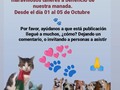 Ayúdanos a llegar a muchas personas, mientras más.asistan, más alimento recaudan estás maravillosas personas para nuestra manada 🙏❤️🐾🐾 .  Del 01 al 05 de Noviembre se estara realizando la 6ta JORNADA DE BIENESTAR de @karilena_ancestral y Terapeutas Aliad@s a BENEFICIO DE LA FUNDACION PATITAS FELICES @fpatitasfelices🙏🏻  Las Terapias a dar seran:  *Cuencos Tibetanos *Reiki Angelical *Sanación Reconectiva *Masajes Bioenergé *Runas Vikingas  Ven regalate BIENESTAR y a la vez contribuye con una noble causa, con 1kg de alimento (perrarina y/o gatarina) por terapia.  Para reservar tu Terapia y la Hora llamar ó escribir al 0414 0443292 Gracias ❣🇻🇪❣ AYUDANOS A AYUDAR🙌🏼