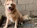 Aaron y su pelota, siempre juntos, dónde se mueve se la lleva, más que una pelota, es su mejor amiga jajajaja