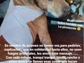 En nombre de quienes no tienen voz,para pedirles, suplicarles, que en solidaridad hacia ellos, no usen fuegos artificiales, les envío este mensaje...... Con cada cohete, tranqui tranqui, tumba rancho o como quiera se llamen esas cosas que hacen ruido!, Un niño 👨‍👦 (o adulto), con autismo, Un perrito 🐕, un gatito😺, un ave 🦅 o cualquier otro animal, sufre, ataques de ansiedad, pánico, taquicardia, que en muchos casos ha ocasionado la muerte.💔 No es justo que por causa de tu diversión, otros tengan que sufrir o morir.😭  En nombre de ellos, que no pueden dirigirse a ti, y en mío propio, te pido, no uses pirotecnia!!!, Seamos más empá, y menos egoístas!, No seas tú, quien cause el sufrimiento o muerte de otro ser vivo. 🙏🙏🙏🙏🙏🙏🙏🙏🙏🙏🙏