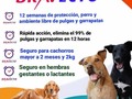 Bravecto, Elimina las pulgas y garrapatas en cuestión de horas.. adquierelo en @huellasdelnorte  hacemos envíos a nivel nacional. ubicacion: Av. Bolivar vieja de Naguanagua Carabobo Telefono; 0426-5407404 0424-4237433