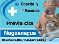 ⚕️Consulta,  💉vacunación,  💉exámenes de sangre  💊 Desparasitacion Previa cita!  Ubicación: Av. Bolívar Vieja de Naguanagua. Para agendar cita, escribir al 0426-5407404, 0424-4237433