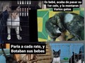 Ayer tuve la.oportunidad de esterilizar 5 gatas! Llevaba rato queriendo hacerlo y no había podido por falta de dinero!, Y aún ayer no lo tenía, pero al enterarme de que dónde las gatas parieron en diciembre, y botaron a sus gatitos una vez más!!!!, Ya no pude seguir esperando, mi conciencia no me dejó, el solo imaginar a tantos bebés muriendo de hambre y frío, llorando sin que nadie los auxiliara o tal vez algunos corrieron con suerte de que si los rescataran, no solo se, solo se, que no podía permitir que más bebés pasarán por eso, y me decidí,.asumiendo más deudas de las que tengo. Las otras dos son bebés ya una tuvo su primer celos hace unos días y la montaron varios gatos, y la mamá de una de las bebé ya también la habían montado.  5 vidas, cambiadas.! Estoy muy muy feliz de haber logrado hacerlo!!!, No imaginan la satisfacción que se siente!!  Ahora, me sentía más feliz aún, si me ayudaran a pagar los. $55 que debo, por causa de esa felicidad 🙃  ¿¿ Me ayudan por favor?? 2Bs, 5Bs, $1 TODO SUMA!!, entre todos podemos reunirnos !, Por favor anímate a ser parte de esto🙏