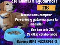 No tienes que donar grandes cantidades para sentir que ayudas!, Tampoco sentir pena porque donas una cantidad que consideras poca, Dona 2Bs e invita a alguien a donar y será de muchísima ayuda!!, Imagina que la.mitad de quienes nos siguen donan 2 Bs, wooooow !!! Tendríamos lograriamos la meta ! Perrarina y gatarina todo un mes, para nuestros peludos 🐱🐕. Anímate a poner tu granito de arena y sumar a nuestra causa 🙏🙏 . 🇻🇪Pago móvil : Banesco RIF J -40238966-3 04265400225 Fundación Patitas Felices. 💰 paypal fpatitasfelices@gmail.com 💰 Zelle 💰 Patreon ( enlace en perfil)  🐾 🐾 🐾 #donate #animalrescue #petslover