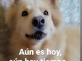 Aún hay tiempo, aún no es mañana! ❤️❤️❤️❤️