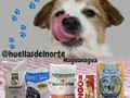 ¿Te gustaría apoyar a nuestra manada, con tan solo comprar el alimento para tu hijo perruno?? Si te animas, solo debes visitar a @huellasdelnorte ... Dónde Compras a buen precio ✔️ Y aportas un granito de arena a nuestra manada @fpatitasfelices 🐾🐾 Estamos ubicados en Av. Bolívar Vieja de Naguanagua  Telf contacto 0426-5407404 🙌 Si deseas ayudar de otra forma, puedes hacerlo, mencionando a tus amigos que tengan Mascotas y vivan en Valencia, e invitalos a comprar en @huellasdelnorte. Gracias, gracias, gracias 🌷