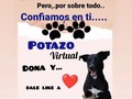 Aquí seguimos sin parar!!!  Nos estás pasando los días rápidamente, sin haber logrado nada aún!! . La opción de alquiler que teníamos se nos cayo por no tener el dinero en manos .  Por favor, ayúdanos a recaudar dinero para bien encontar un lugar donde mudar a la manada, o bien para comprar los materiales y rejas para habilitar espacios en mi casa 🙏 Pon tu granito de arena, sin importar el montó!!  2Bs, 5Bs, 10 Bs. $1. Lo que puedas y desees ❤️❤️❤️❤️ . Pago movíl: Banesco RIF J -40238966-3 04265400225 Fundación Patitas Felices 💥 Patreon: enlace en perfil.. Paypal fpatitasfelices@gmail.com Zelle : datos al direct . 🙏 Suelto y confío Gracias, gracias, gracias ❤️❤️❤️